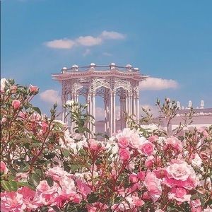 Meet your Posher, Yousra